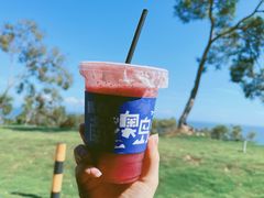 -南澳岛打卡果汁冰公司