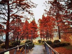 -长广溪湿地公园