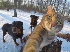 -新贝乐意大利餐厅(苏州中心店)