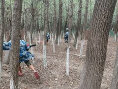 -亲兄弟真人CS团建拓展基地