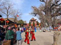 -大槐树寻根祭祖园