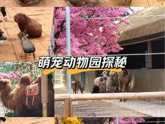 -昆明动物园