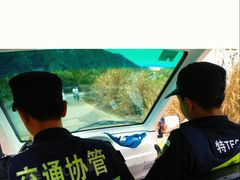 -杨梅坑