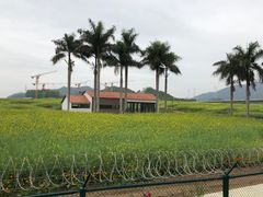 -光明小镇欢乐田园