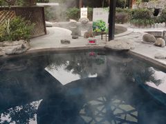 -雅安楠水阁温泉酒店