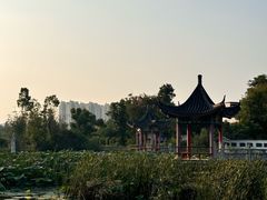 -青龙山国家森林公园