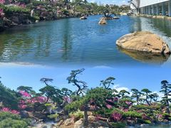 -罗红摄影艺术馆