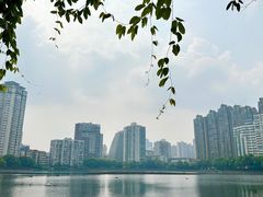 -宝岛公园