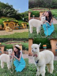 -花漾摄影优选工作室(东莞原创作品店)