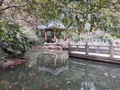 -水濂山森林公园