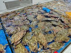 -北塘海鲜·天津菜(大光明桥旗舰店)
