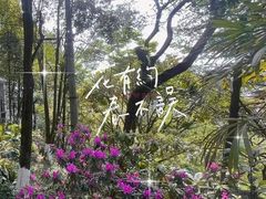 -重庆平顶山公园