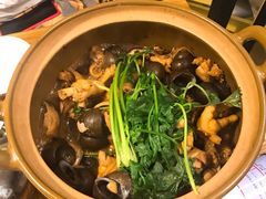 -食爺炭炉鸡煲·烧烤