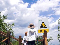 -大岭沟猕猴桃谷风景区
