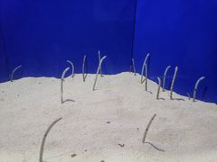 -上海海洋水族馆