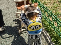 -太阳宫公园