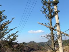 -四明山国家森林公园