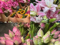 -成都中医药大学(温江校区)