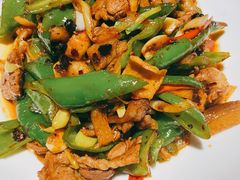 四时辣椒炒肉-悦融·京鲁菜·露台花园(安定门店)