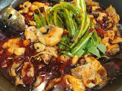 -都江堰石锅鱼