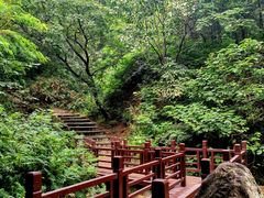 -北京西山国家森林公园