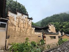 -杨家堂村