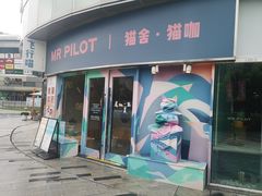 -飞行喵MR PILOT|猫舍·猫咖(静安大融城店)