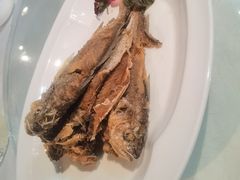 -大鸭梨烤鸭店(光彩店)