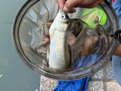 -酷鱼垂钓CLUB(朝阳区博大路店 )