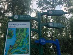 -昆山城市生态森林公园