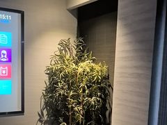 -上足·影院足道·SPA(红岭店)