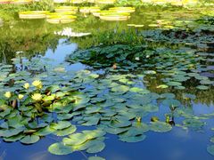 -国家植物园南园