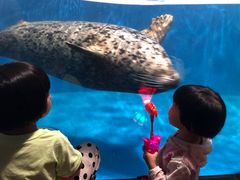 -成都浩海立方海洋公园