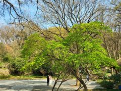 -紫金山山顶公园