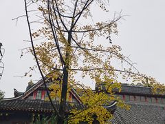 -四川大学(华西校区)