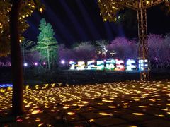 -天适樱花悠乐园