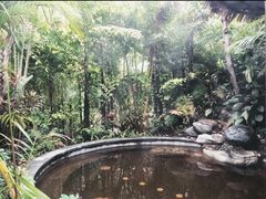 -碧桂园润杨溪谷温泉酒店