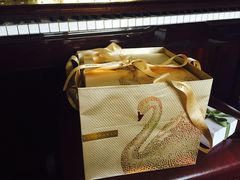 -BLACKSWAN黑天鹅(环球店)