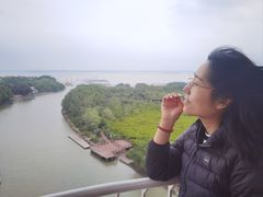 -东寨港红树林旅游区