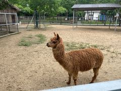 -上方山森林动物世界