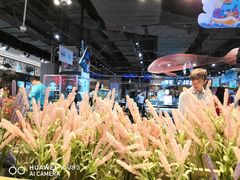 -盒马鲜生(曜一城店)