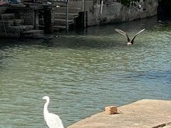 -观桥阁(锦溪店)