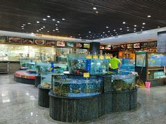-新世纪大酒楼·30年南海菜
