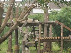 -武汉动物园