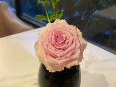 -伯顿西餐厅(平湖店)