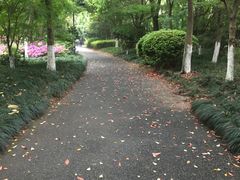 -杭州城北体育公园