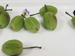 -北京市聚德华天职业技能培训学校(五根檩胡同)