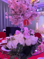 -曼格纳婚礼艺术中心(张江店)