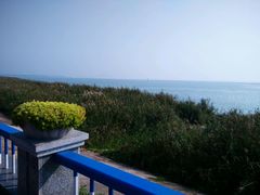 -合肥滨湖国家森林公园