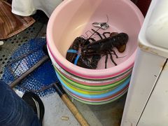 -阿勇海鲜排档2号(朱家尖店)